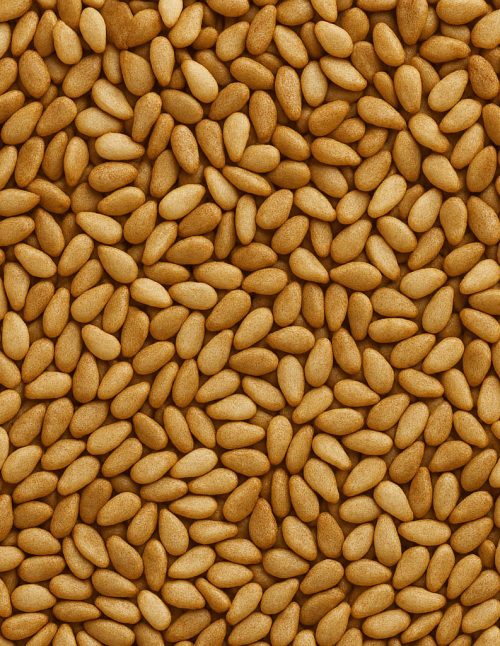 Sésame bagel - Dion Herbes et Épices