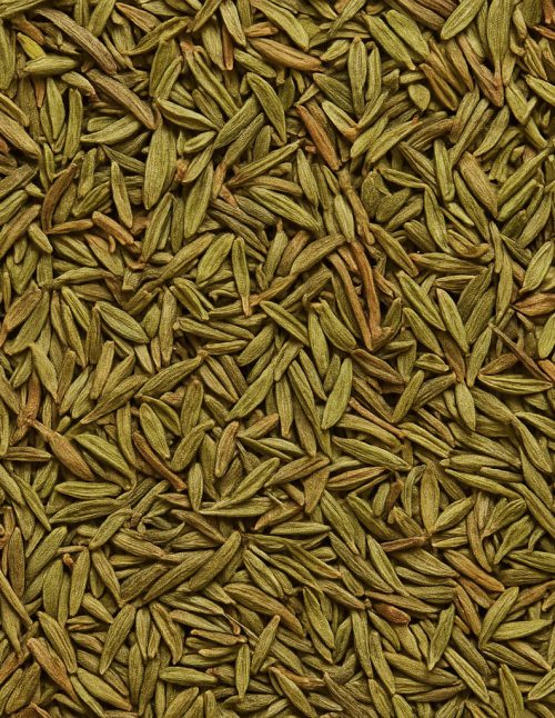 Thym - Dion Herbes et Épices