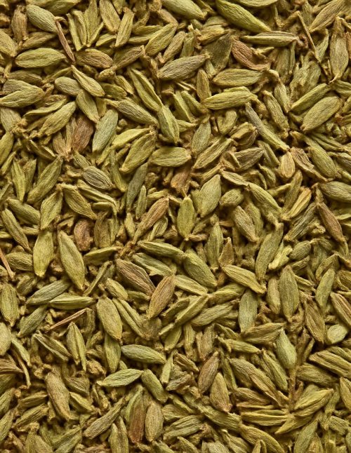 Thym biologique - Dion Herbes et Épices