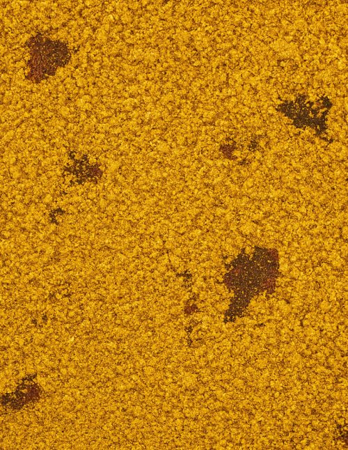 Épices à l’indienne biologique - Dion Herbes et Épices